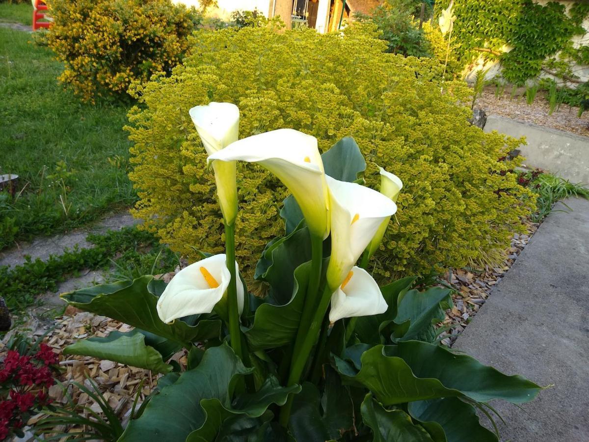 Bed and Breakfast La Ribambelle Saint-Brisson-sur-Loire Exterior foto